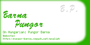 barna pungor business card